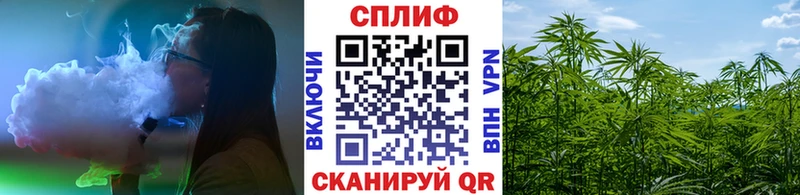 Шишки марихуана SATIVA & INDICA  Купить закладки  Томари 